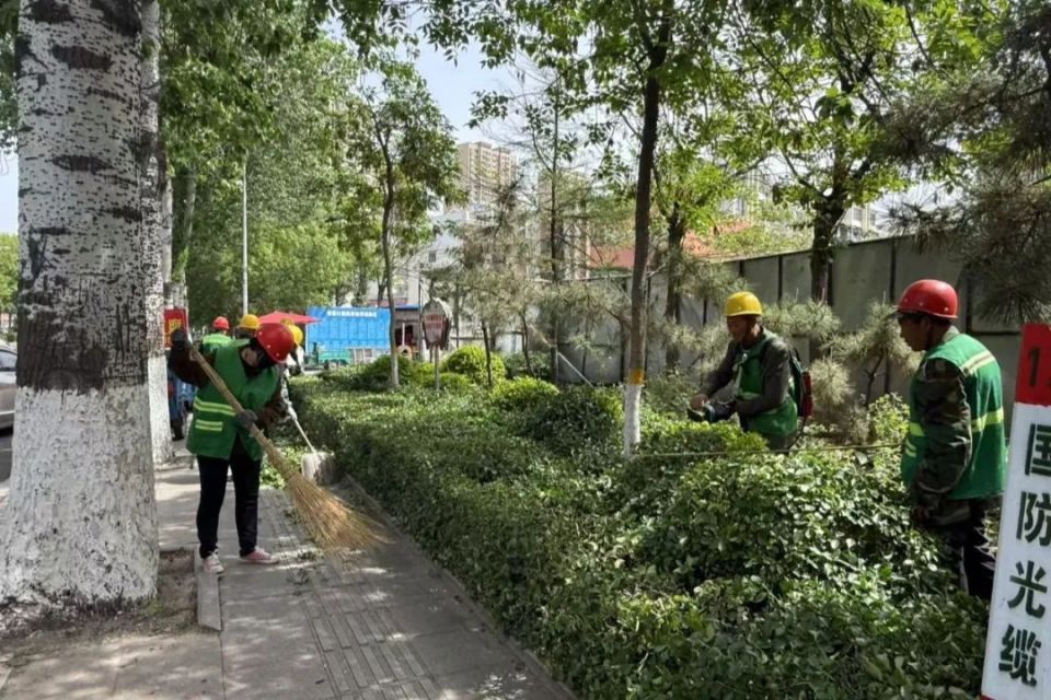 精細(xì)養(yǎng)護(hù)煥新顏 諸城市園林綠化管理提升城市景觀品質(zhì)