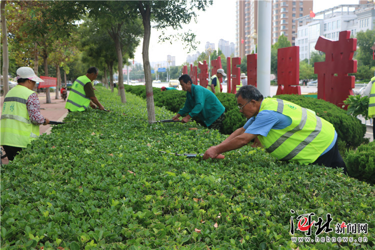 青縣多措并舉扎實(shí)推進(jìn)城區(qū)綠化秋季養(yǎng)護(hù)管理工作