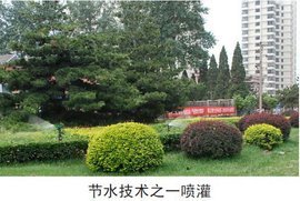 榆林市城市綠化管理辦法 規(guī)范與創(chuàng)新并重的城市綠化管理措施