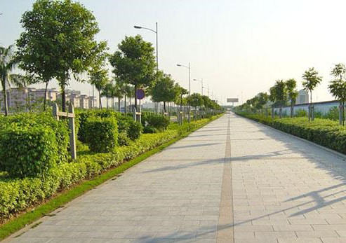 如何完善市政道路園林施工中的綠化養(yǎng)護(hù)管理