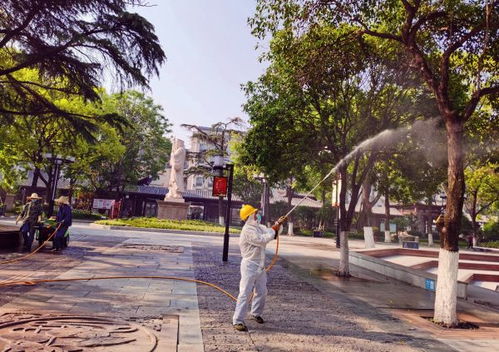 關(guān)于市城市公園管理處推進(jìn)園區(qū)綠化提質(zhì)升級(jí)的行動(dòng)方案